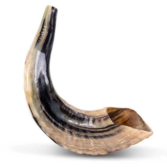 Sale of Shofar Horn and Kippah